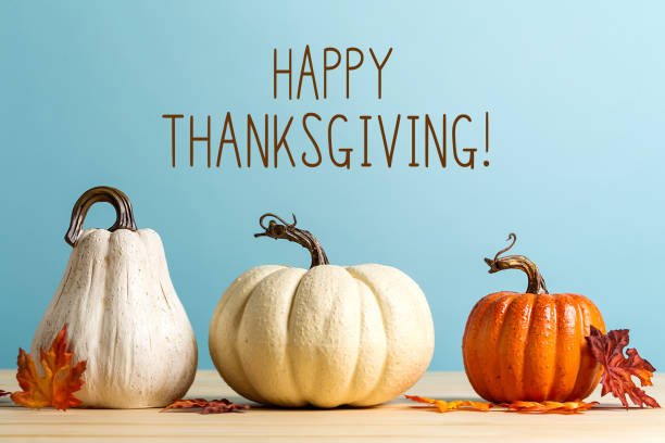 Happy Thanksgiving - AMS Fulfillment