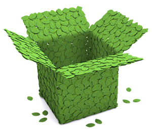 Green Supply Chain | AMS Fulfillment