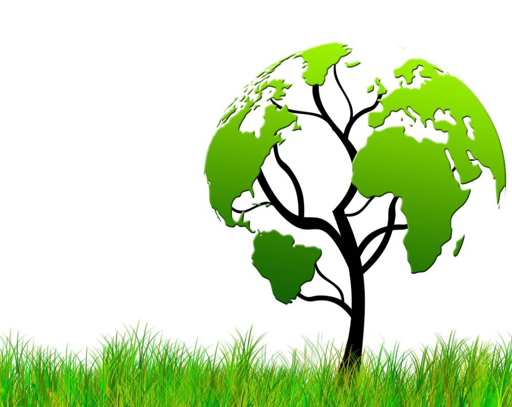 Eco-friendly company | AMS